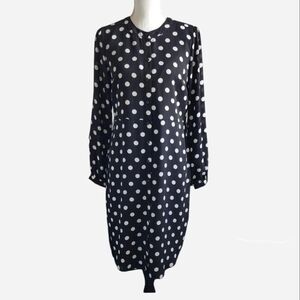 Banana Republic Navy Polka Dot Long Sleeve Dress